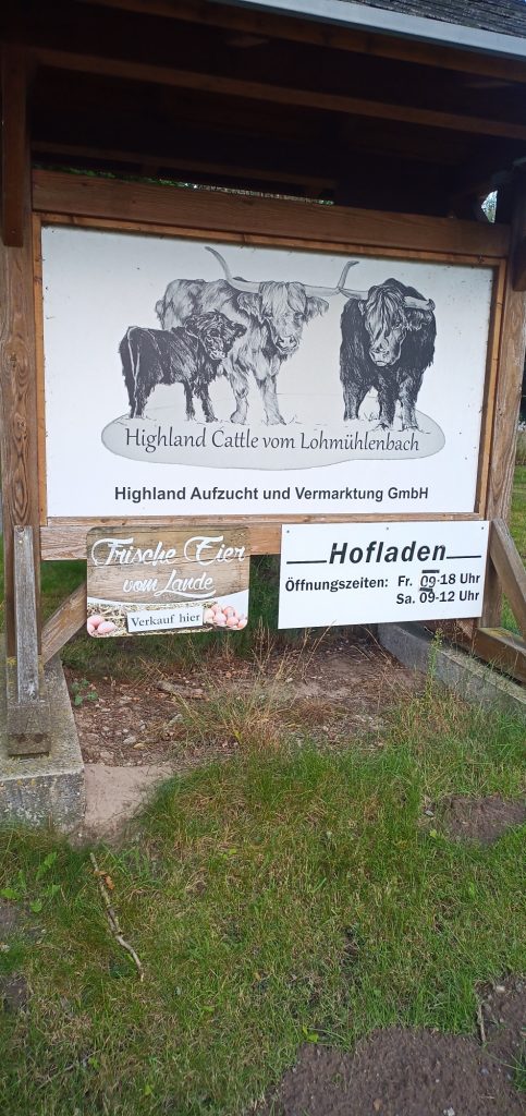 Hofladen Hinweisschild mit Highland Cattles